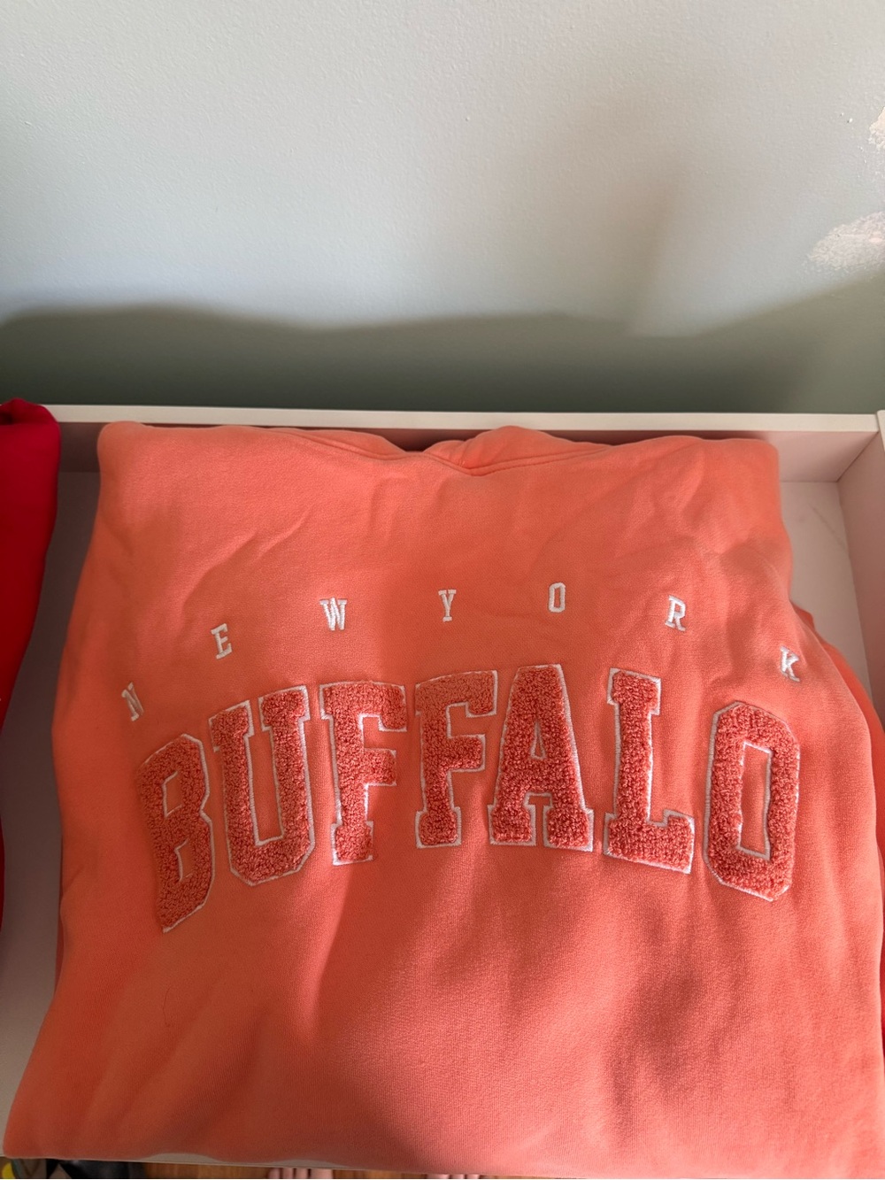 Leveled Up Buffalo summer collection hoodie
